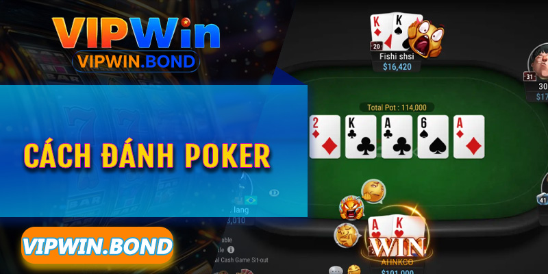 Cách đánh Poker Vipwin – Giải mã ma trận xác suất để thắng lớn