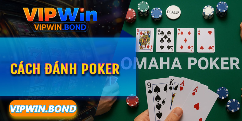 Hành trình bứt phá lợi nhuận cùng hệ sinh thái giải trí Vipwin